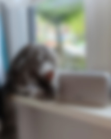 Post Instagram di al.efani