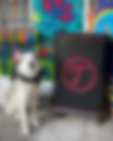 Post Instagram skateboard_verein_berlin