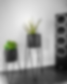 Instagram post by susa_nnw