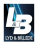 Logo - Lyd & Billede