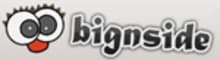 Logo - bignside