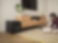 PM T 10 Mk2 Subwoofer Bild