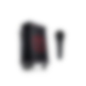 ROCKSTER + Shure PGA58