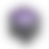Galerie Bild 6 von 8 