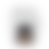 Galerie Bild 8 von 24 