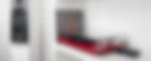 Raumfeld Speaker L Vinyl