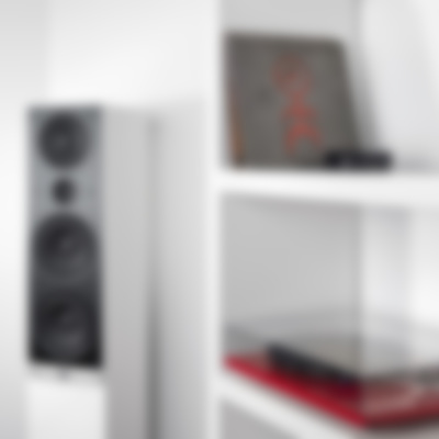 Galerie Bild 6 von 38 Raumfeld Speaker L Vinyl - Ambiente