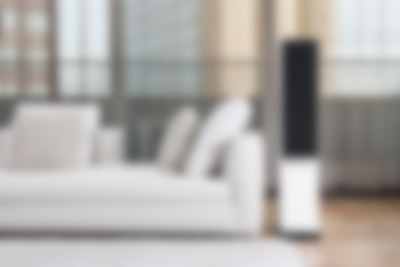 Galerie Bild 8 von 38 Raumfeld Speaker L - Ambiente 3
