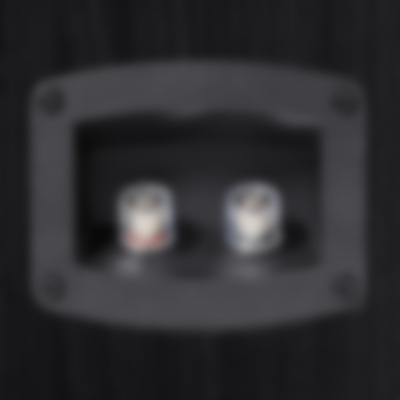 Galerie Bild 6 von 12 T 100 F hinten Anschlüsse Schwarz