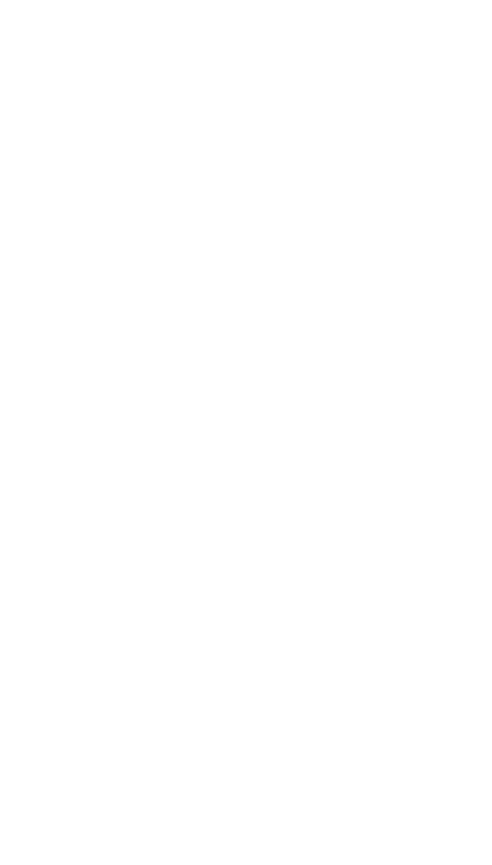 HOLIST S Outline