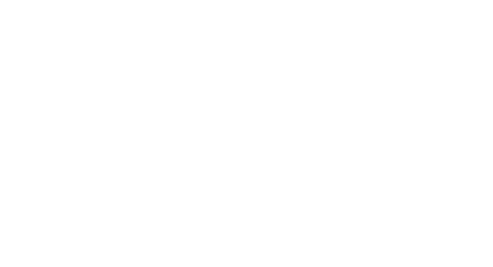 AIRY TRUE WIRELESS Outline