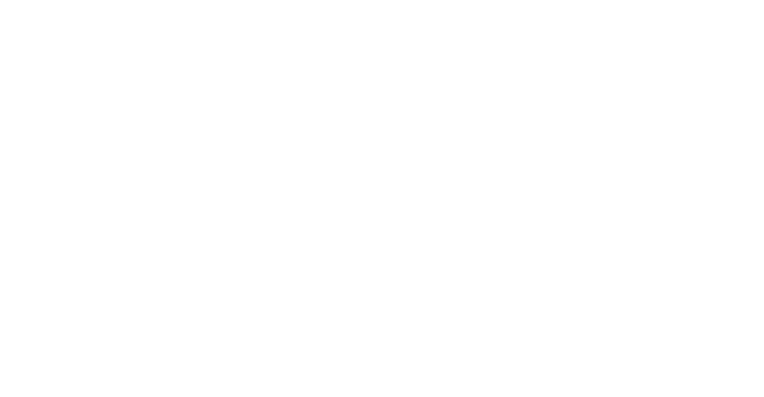 BAMSTER PRO Outline