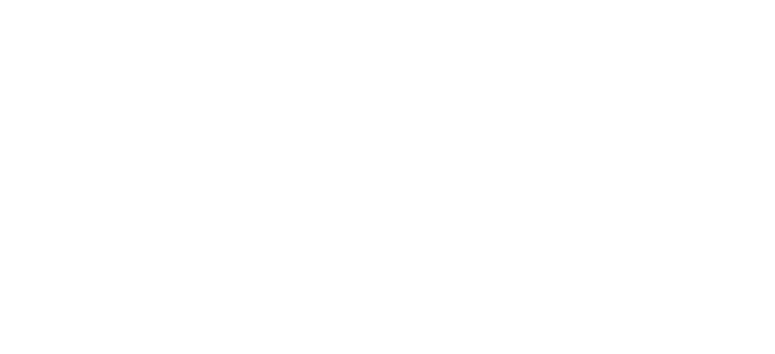 Boomster (2016) Outline