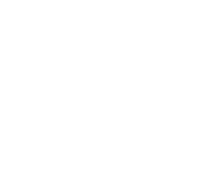 BOOMSTER (2020) Outline