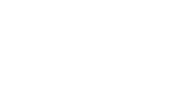 BOOMSTER Outline