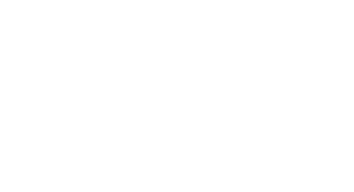 BOOMSTER GO Outline