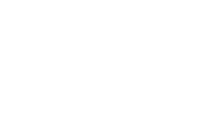 CAGE PRO Outline