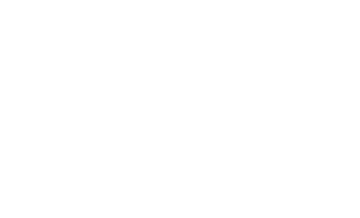 CONCEPT 12 Subwoofer Outline