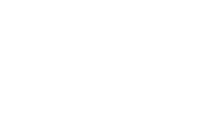 CINEDECK Outline
