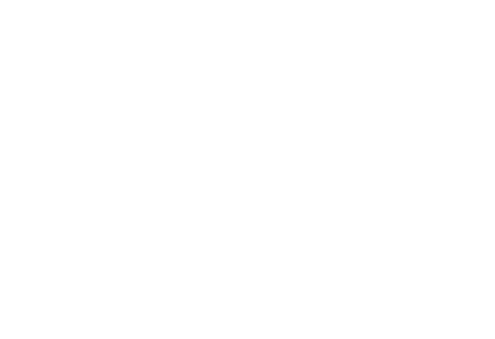 CONCEPT E 450 Digital "5.1-Set" Outline