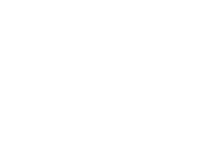 HOLIST M Outline