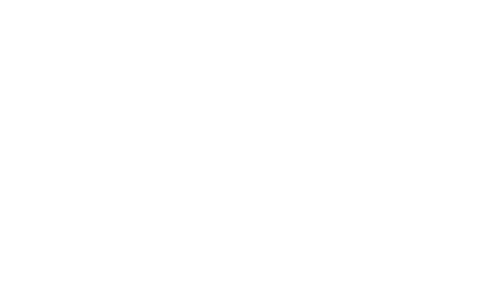 MOVE PRO Outline