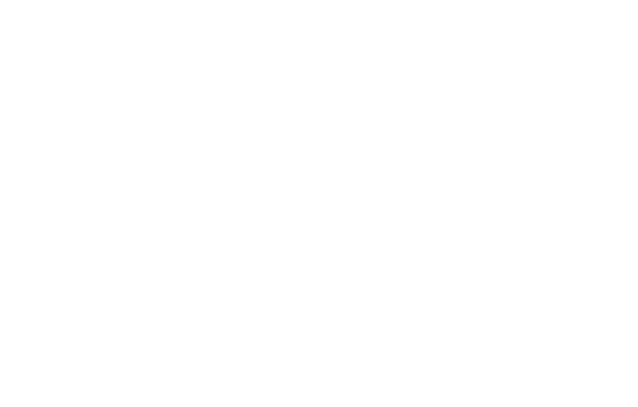 MUTE Outline