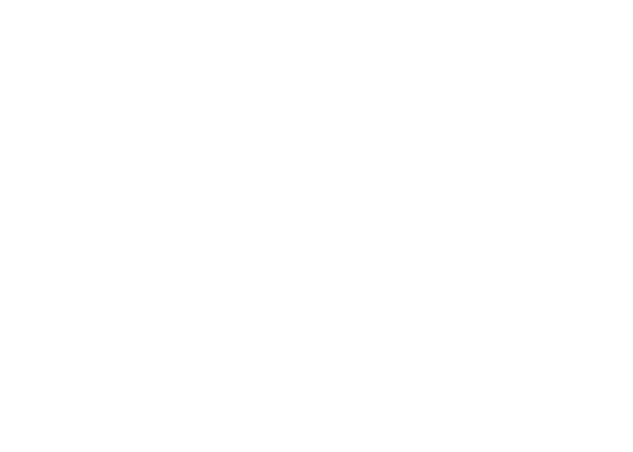 MUTE BT Outline