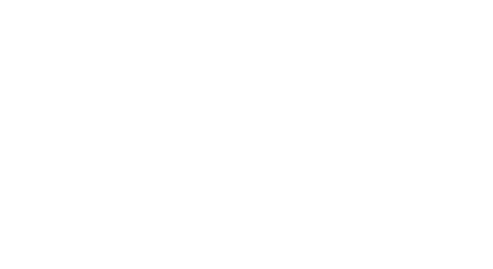 REAL BLUE NC Outline