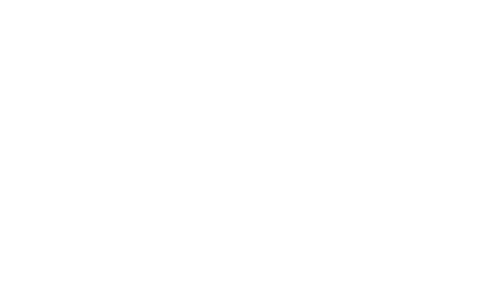 REAL BLUE PRO Outline