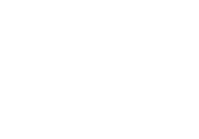 REAL Z Outline