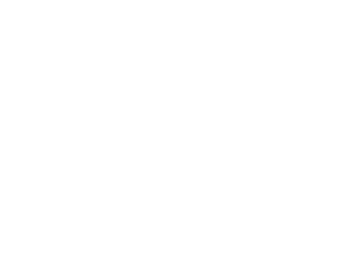 ROCKSTER Outline