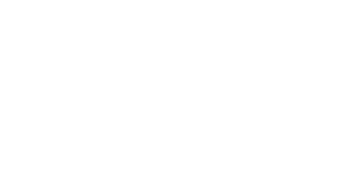 ROCKSTER GO Outline