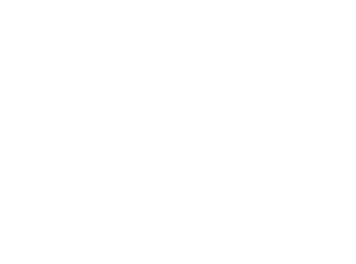 ROCKSTER NEO Outline