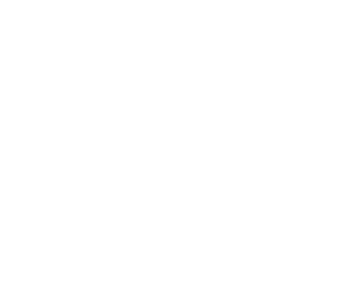 ROCKSTER XS (2016) Outline