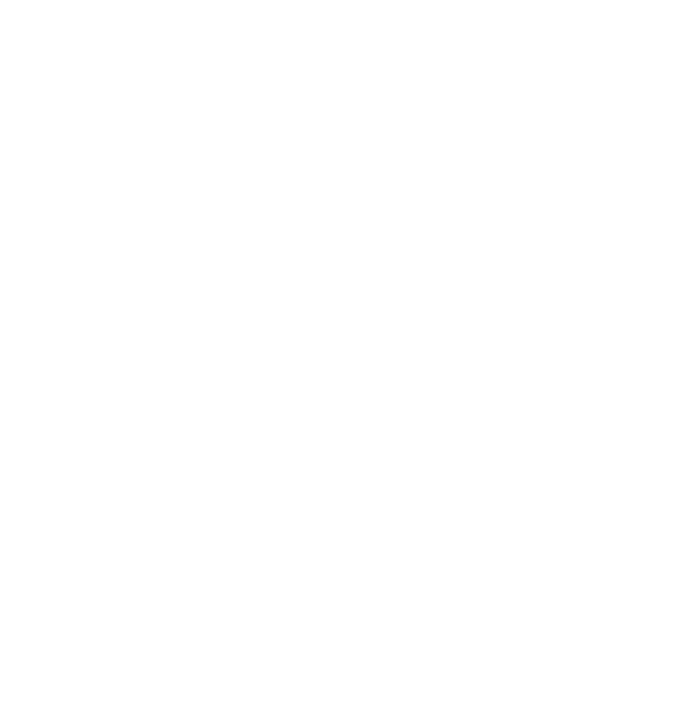 ROCKSTER XS Outline