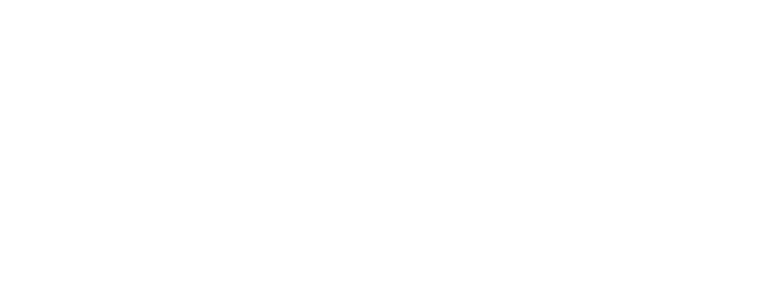 Raumfeld Connector Outline