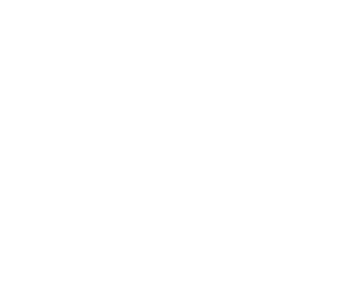 Raumfeld Stereo L Outline
