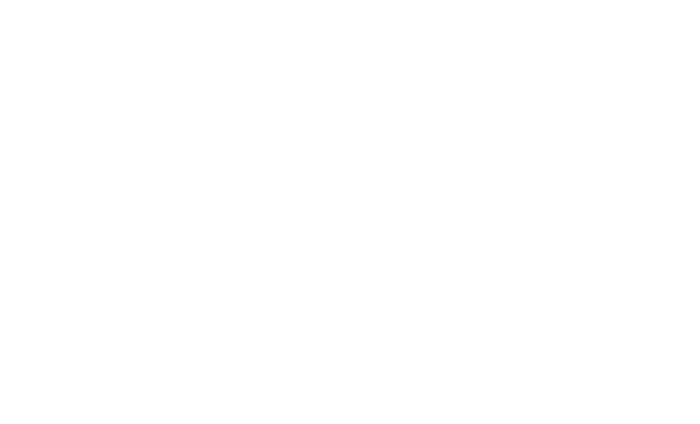 STEREO L 2 Outline