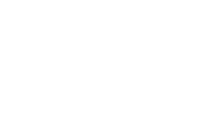 T 10 subwoofer Outline