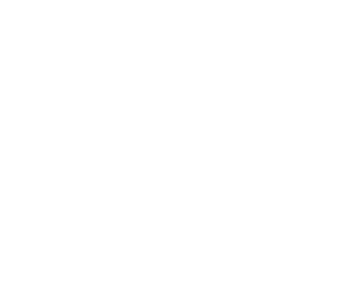 BOOMSTER Outline