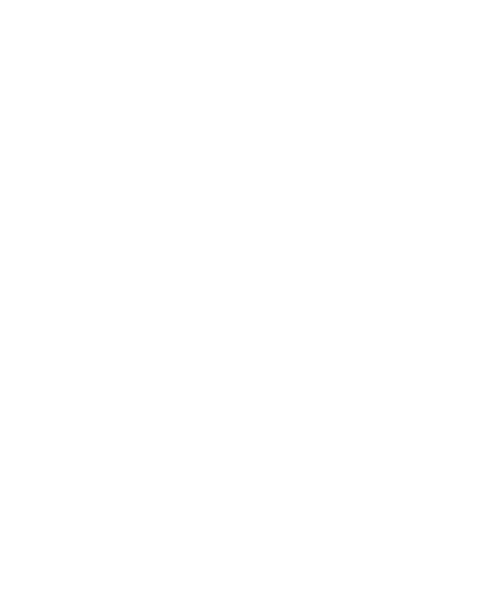 Varion "2.1-Set" Outline