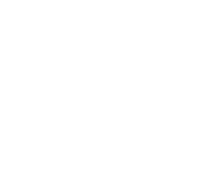 ZOLA Outline