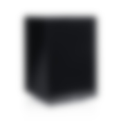 Subwoofer US 8112/1 SW - Front Angled
