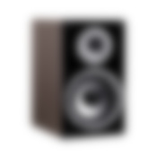 T 300 vorne Nussbaum ohne Cover