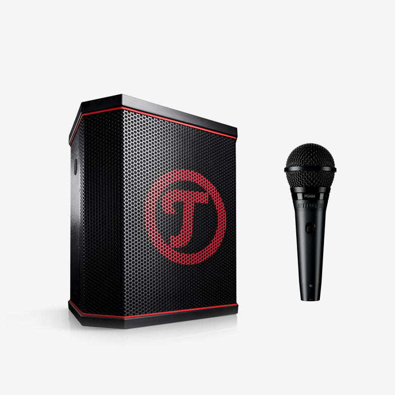Galerie Bild 1 von 25 ROCKSTER AIR + Shure PGA58
