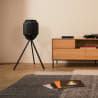 Galerie Bild 5 von 27 