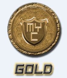 Testbericht - mod-your-case - Gold