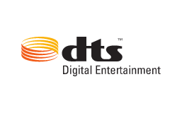DTS Digital Surround: DTS is a multi-channel sound variant for playing DVDs or Blu-rays with a maximum of 6 soundtracks for a sound channel allocation of 1.0 up to 5.1 surround. However, this DTS variant does not support the DTS HD Audio codec.