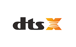 Logo - dtsX